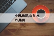 中洲（山东）电力集团有限公司商票逾期，逾期额460万