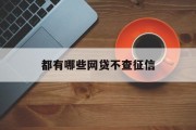 全面解析，都有哪些网贷平台不查征信？，全面解析，哪些网贷平台不查征信？