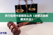 信用贷五万逾期了怎么办(信用贷五万逾期了怎么办理)