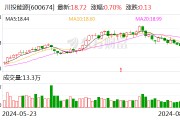 川投能源：2024年上半年净利润同比增长9.74%