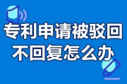 专利逾期了怎么办(专利逾期缴费多久能恢复)