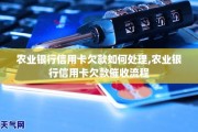 农行贷款逾期了怎么办(农行贷款逾期了怎么办理)