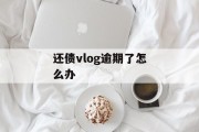 还债vlog逾期了怎么办_还钱逾期了怎么办