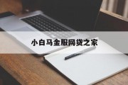 小白马金服与网贷之家，共筑金融科技新篇章，小白马金服与网贷之家携手共筑金融科技新篇章