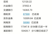 负债5万逾期了怎么办(负债5万逾期了怎么办理)