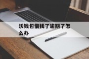 沃钱包借钱了逾期了怎么办_沃钱包借钱不还会怎么样