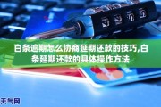 白条逾期10多天了怎么办(白条逾期十天还了会列入失信吗)