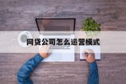 网贷公司的运营模式解析，网贷公司运营模式解析