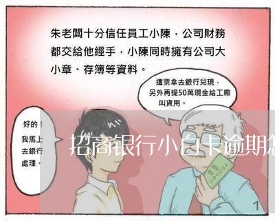 招商银行信用卡逾期了怎么办(招商银行信用卡逾期怎么办 一共就几千块钱)