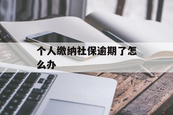 个人缴纳社保逾期了怎么办_个人社保迟交几个月怎么办