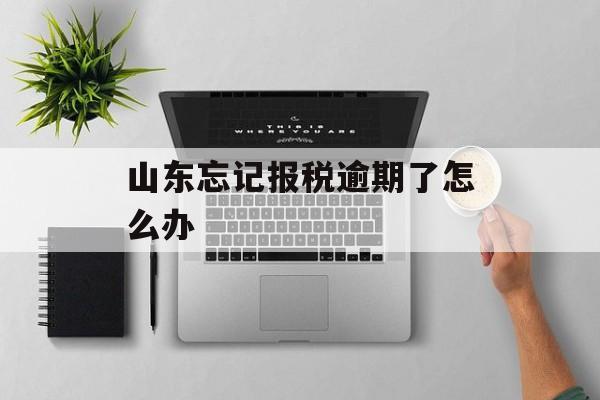 山东忘记报税逾期了怎么办_山东税务申报延期